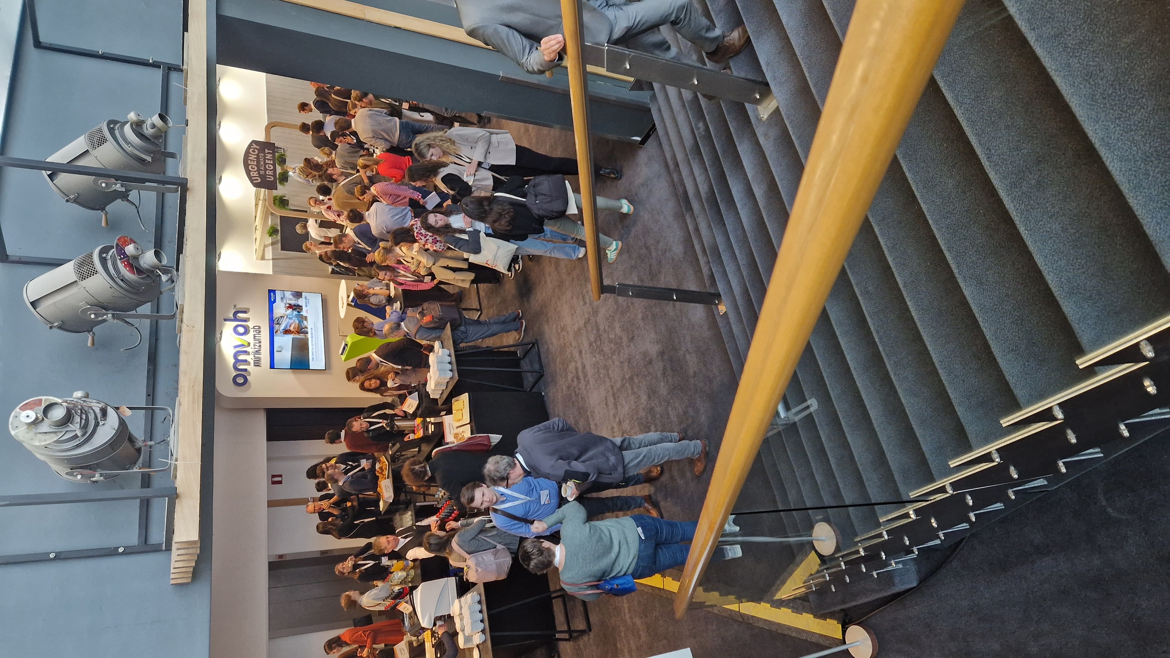 Gallery 2025 - image 3