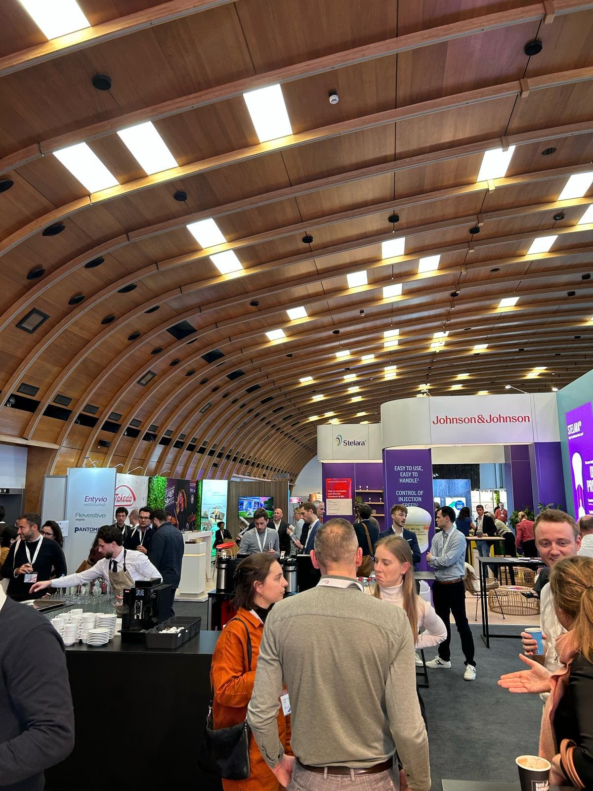 Gallery 2025 - image 19